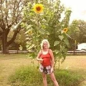 Meet your Posher, Donna